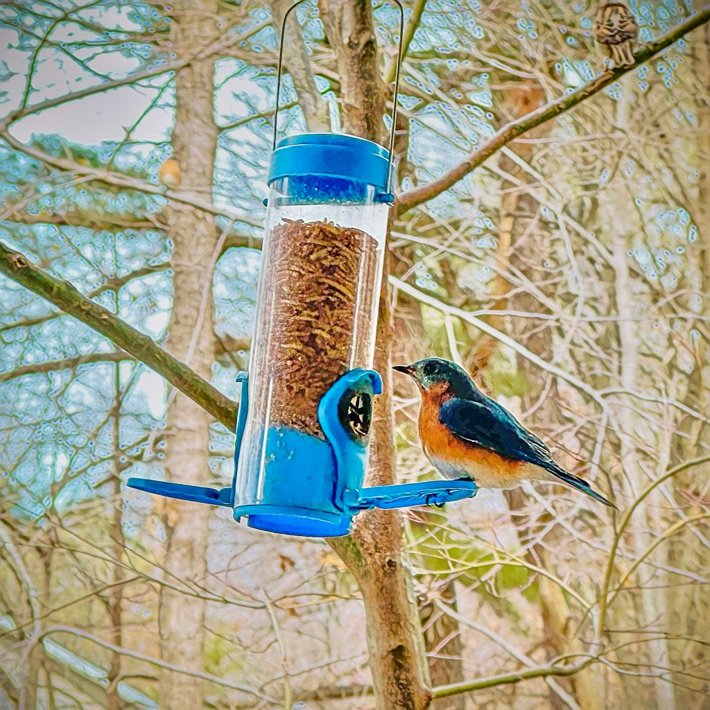 Other Than Writing&nbsp;Activities