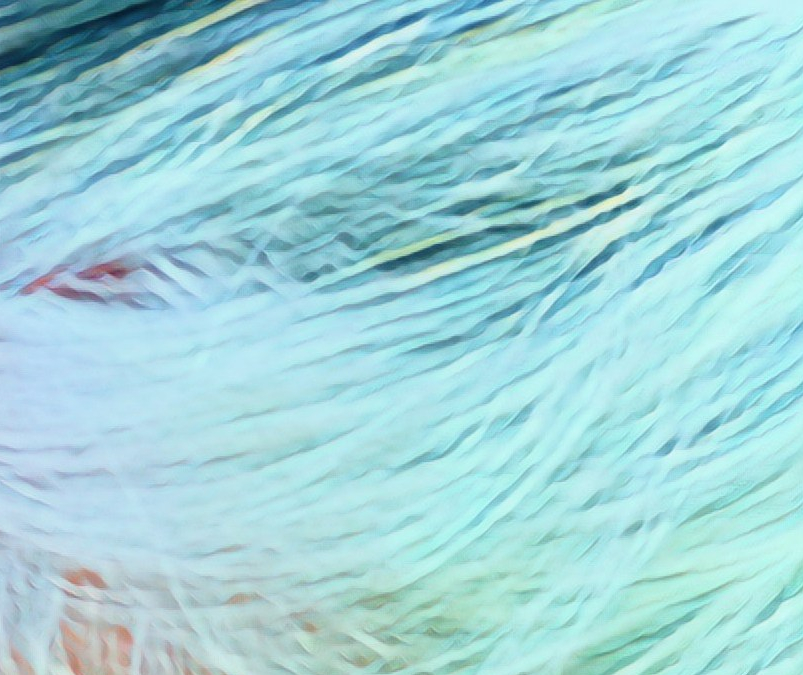 1960 Home Spa&nbsp;Days