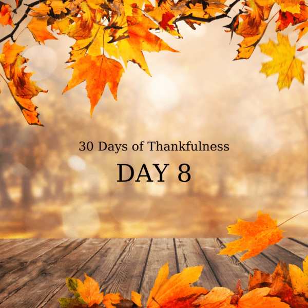 Today Is Day 8: My Thankfulness&nbsp;Post