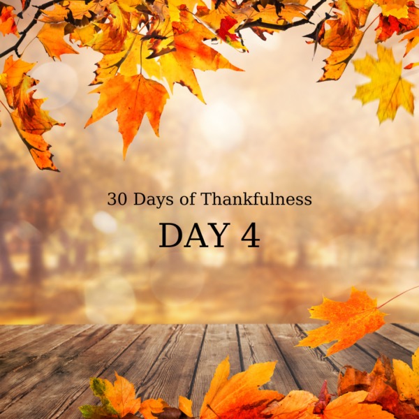 30 Days of Thankfulness Post and&nbsp;Giveaway!