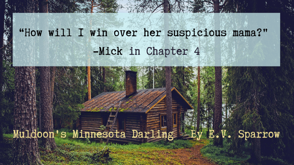 A Quote From Chapter 4 of Muldoon’s Minnesota Darling: a&nbsp;Novella